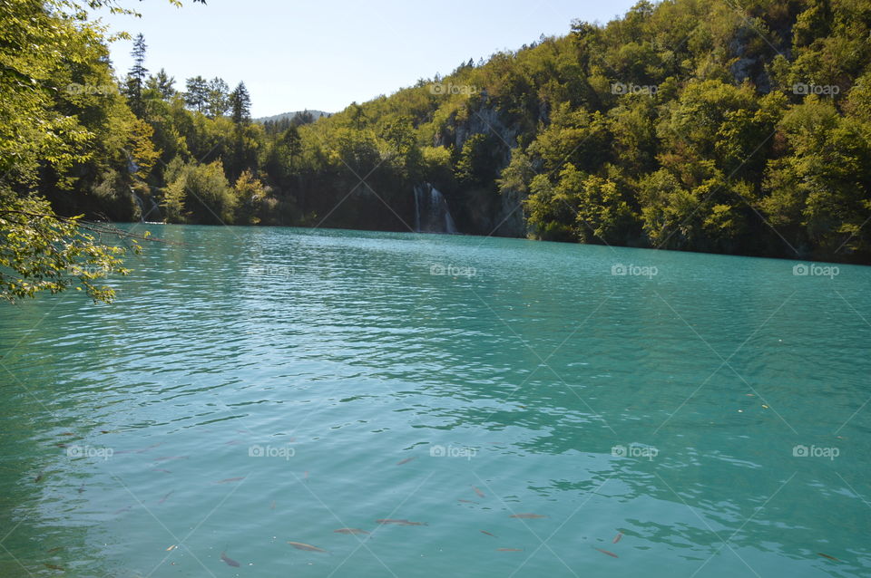 Plitvice Lakes, Croatia 🇭🇷
