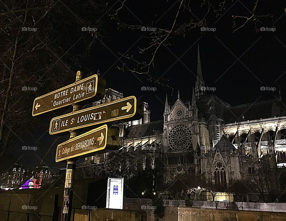 Amazing photos I took March 2019 of Notre-Dame Catholic Cathedral, one of France’s greatest National Monument, before it was ravaged by fire 🔥