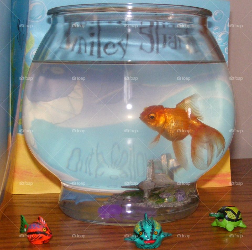 Gold fish and little figures