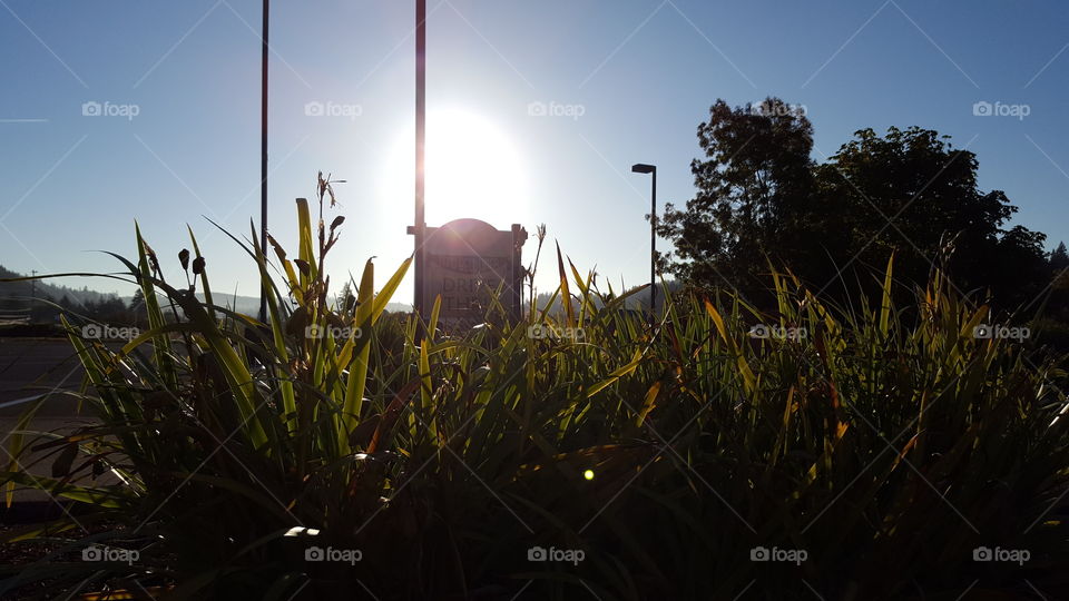 sunset