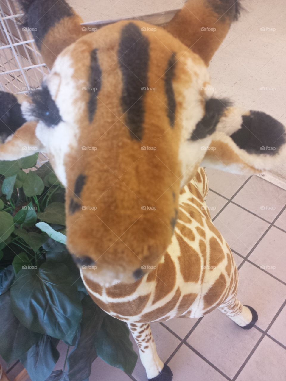 Stuffed Toy Giraffe