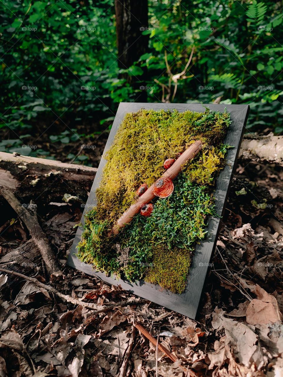Moss and mushrooms picture art. Stabilized moss in frame, mystical forest