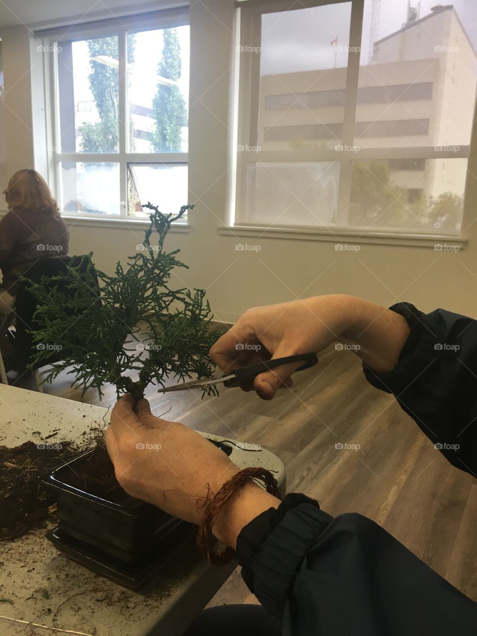 Trimming a tree at a bonsai class