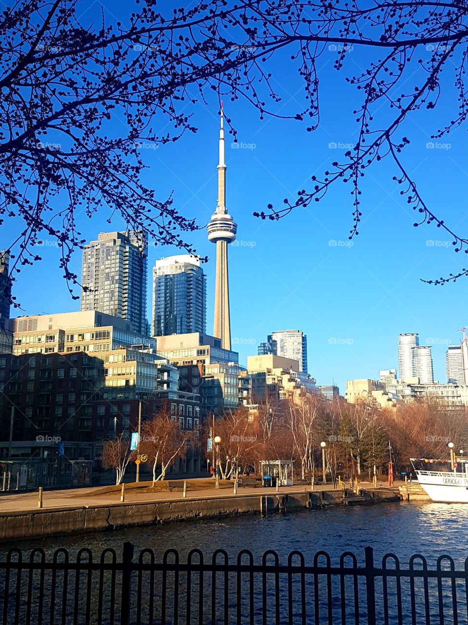 Toronto Harbourfront skyline view