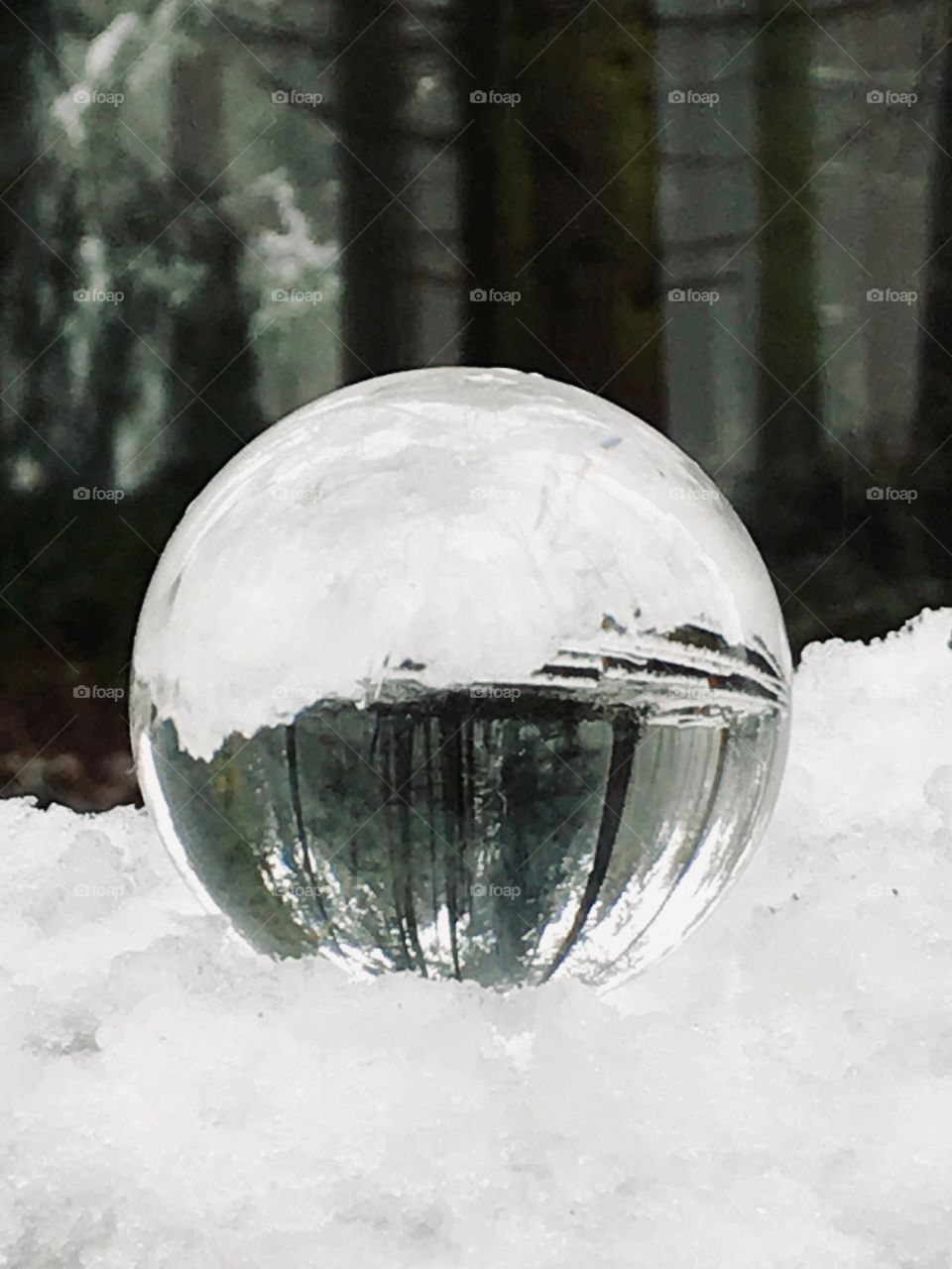 Crystal ball photography. Picture taken in the Zonian Forest, Brussels, Begium. Snowy day in winter.