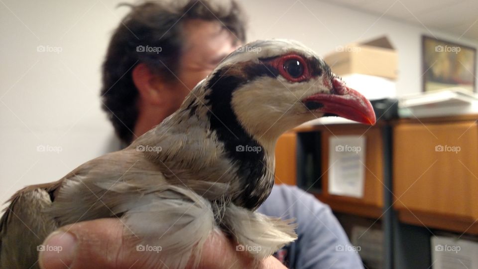 Chucker Out of Place