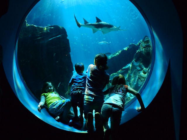 water fish aquarium under by jgregoire