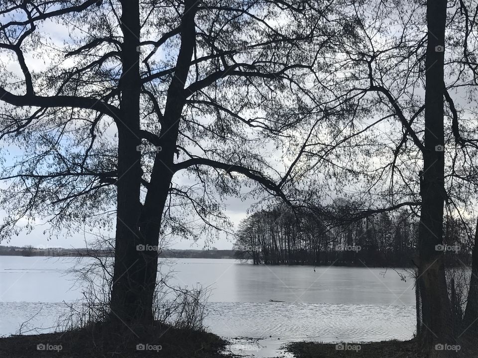 Dadaj Lake 
Biskupiec, Warmian Masurian 
Poland 