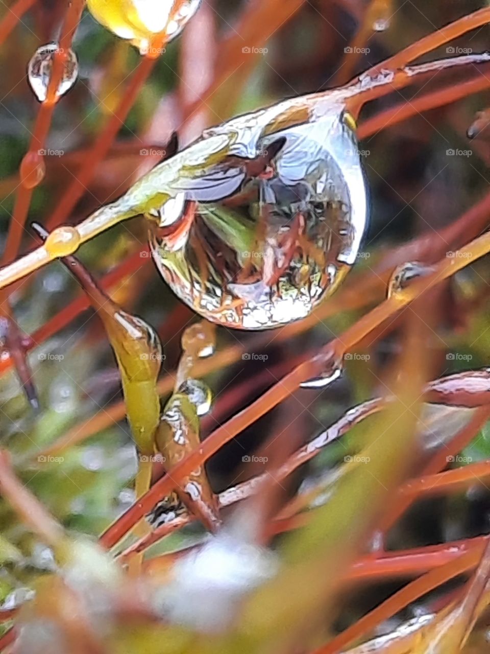 Wassertropfen am Boden