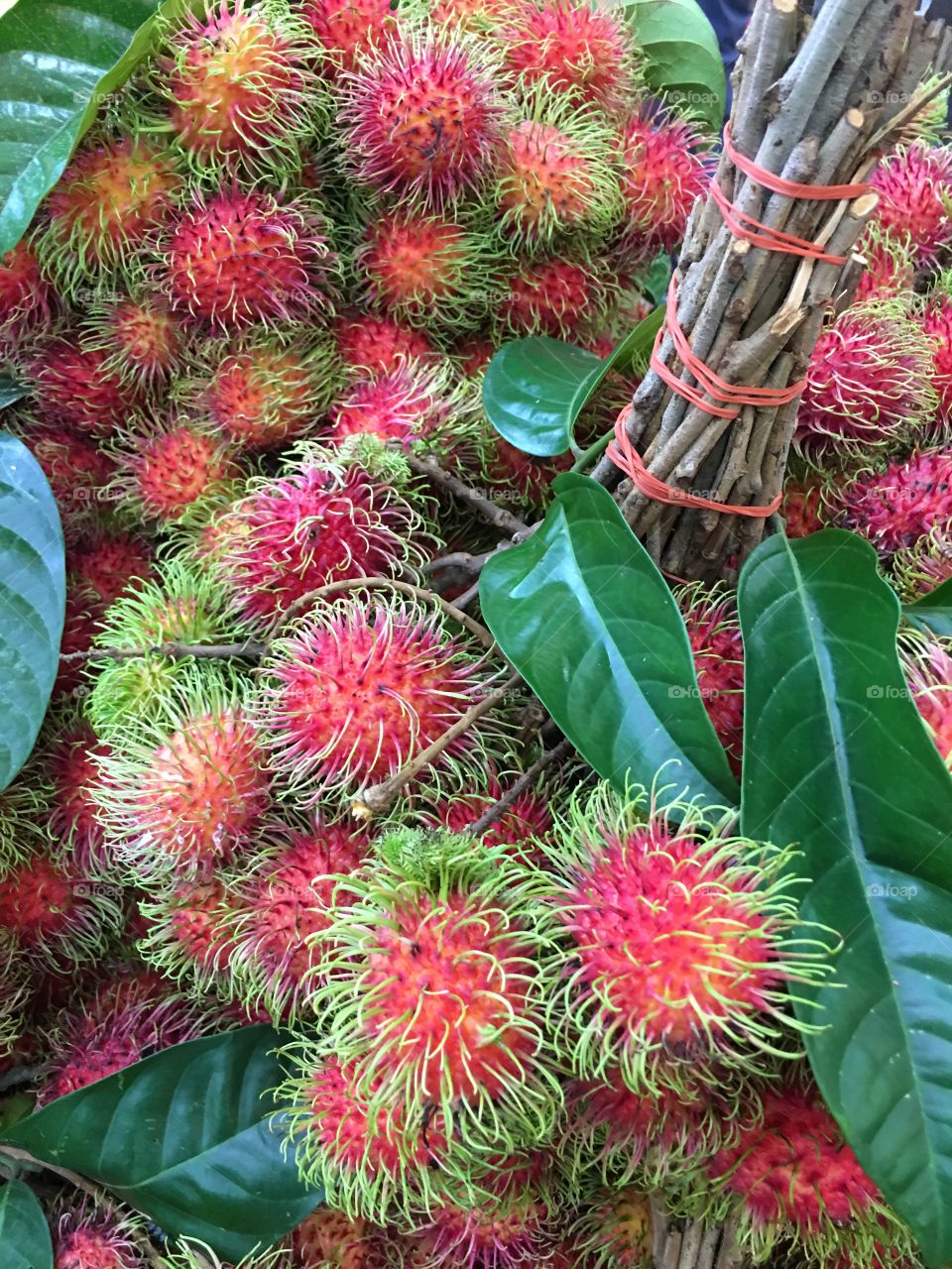 Fresh rambutan