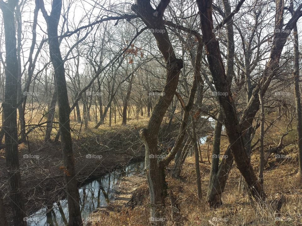 monkey mountain views