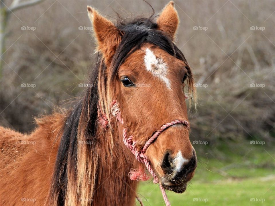 Best day for getting photos