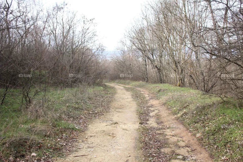 Road