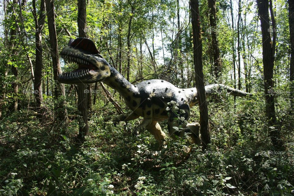 Dilophosaurus at Dinosaur World in Cave City, KY