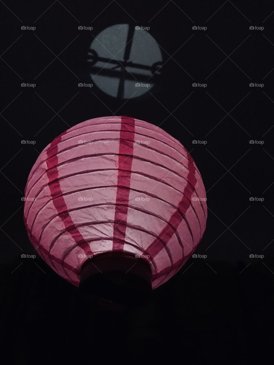 Chinese Lantern in Pink 