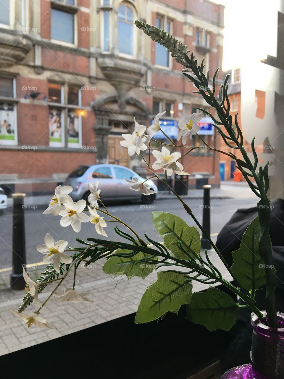 City flowers on window 