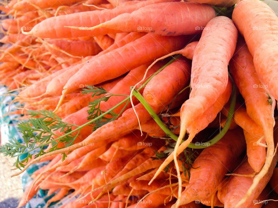 Carrots anyone?