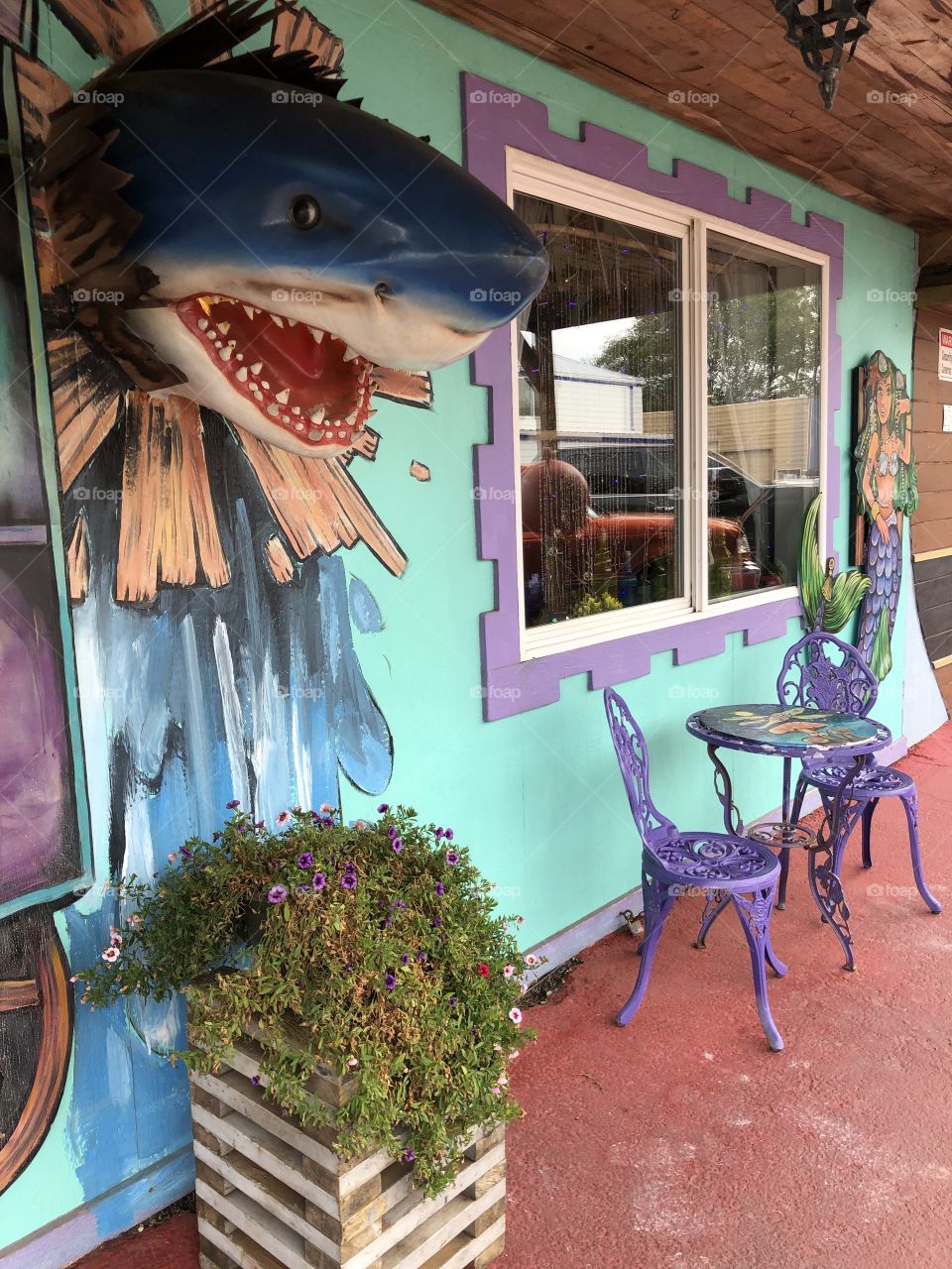 Shark out of the Wall