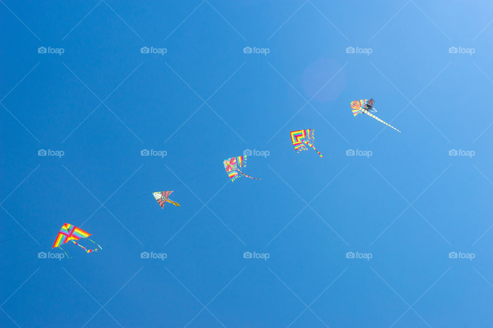 colorful kites in the sky