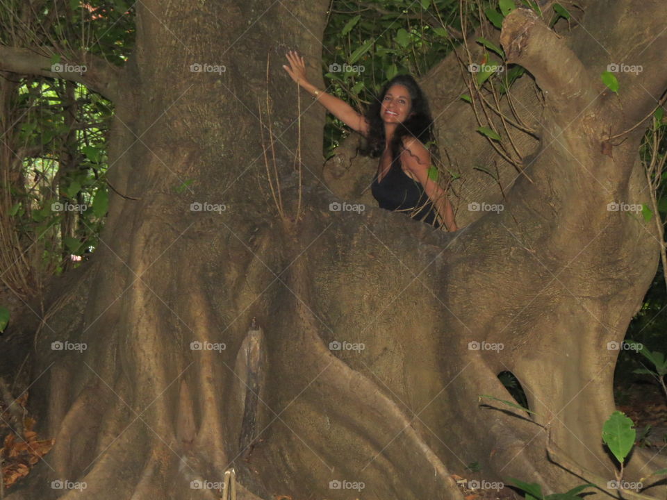 Gigantic Banyon Tree.