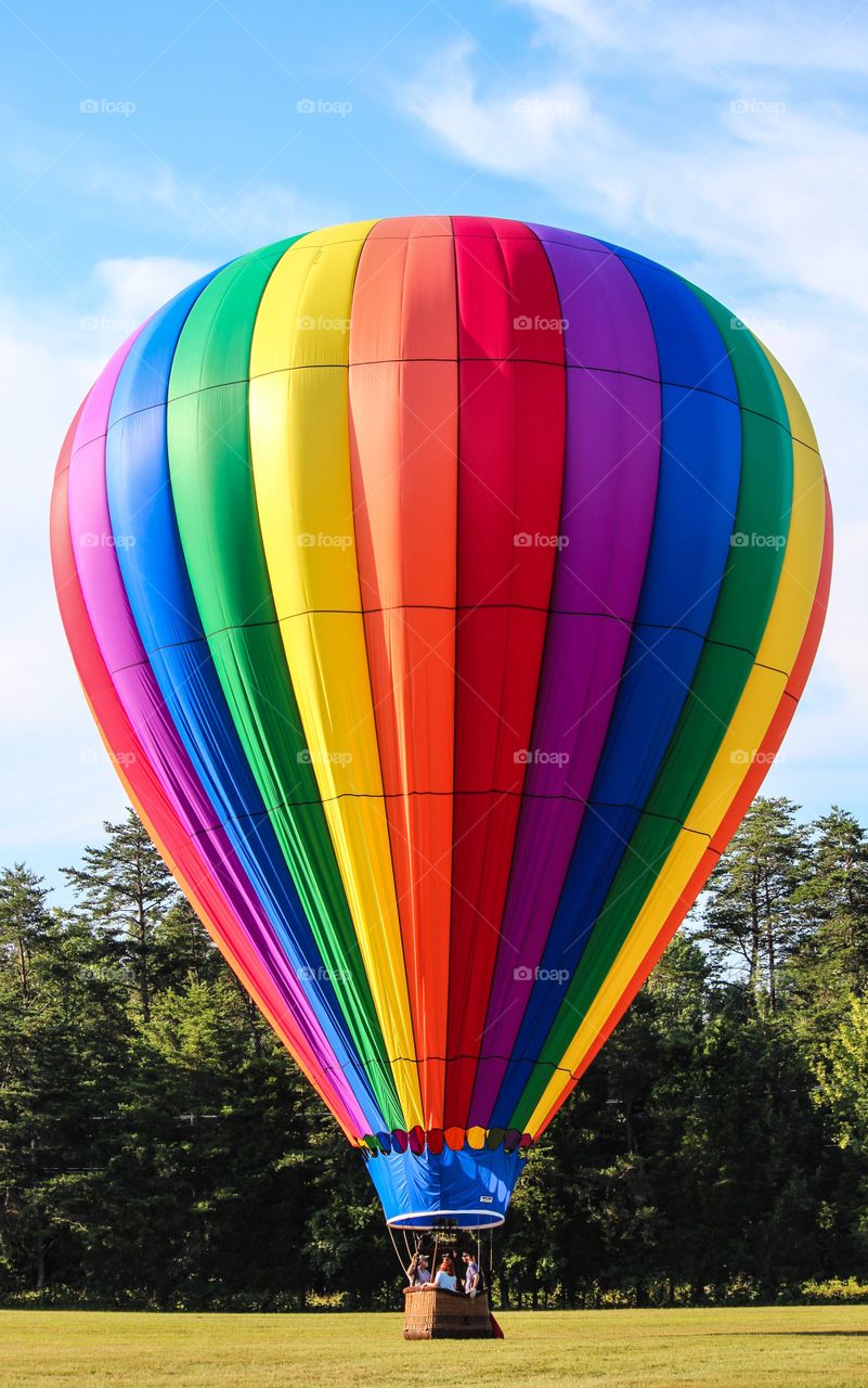 View of hot air balloon at park