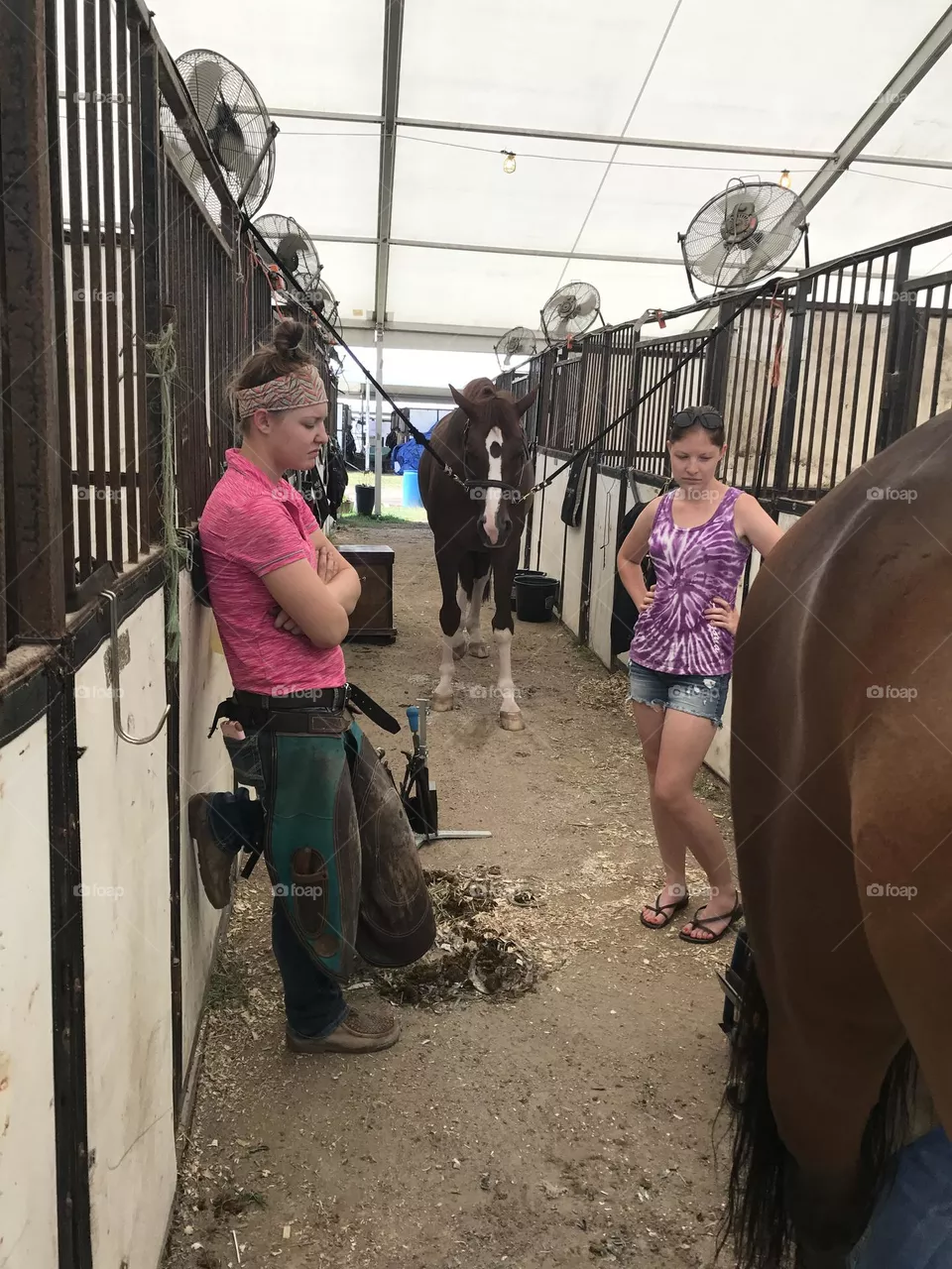 A Day At The Office For A Ferrier