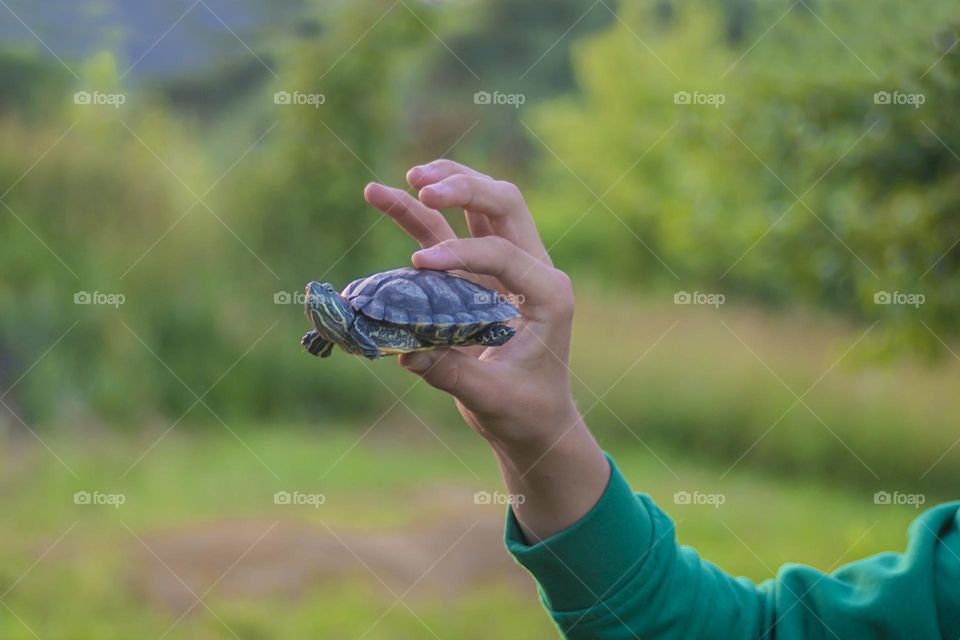 man holding turtle