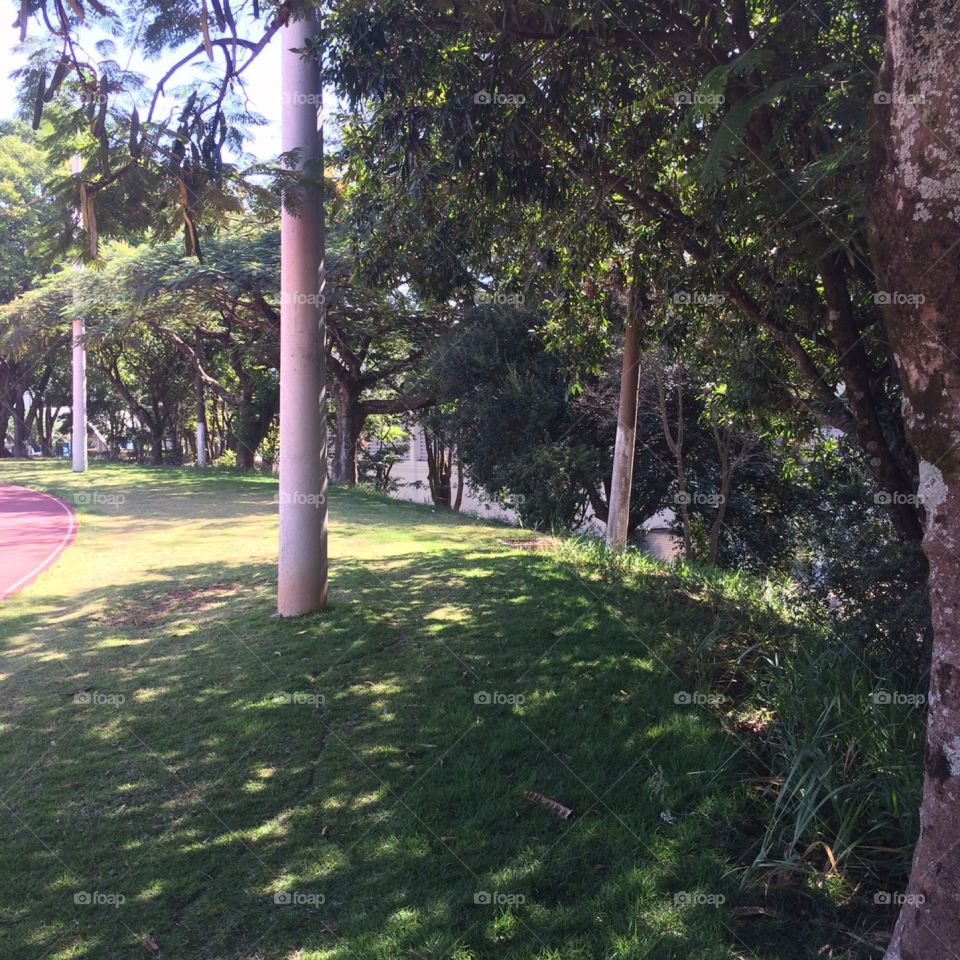 Um clique no Parque! Praça esportiva do Bolão, com fotografia voltada para um mini-bosque. 