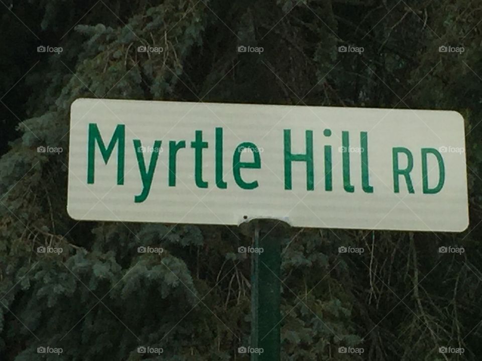Myrtle Hill RD