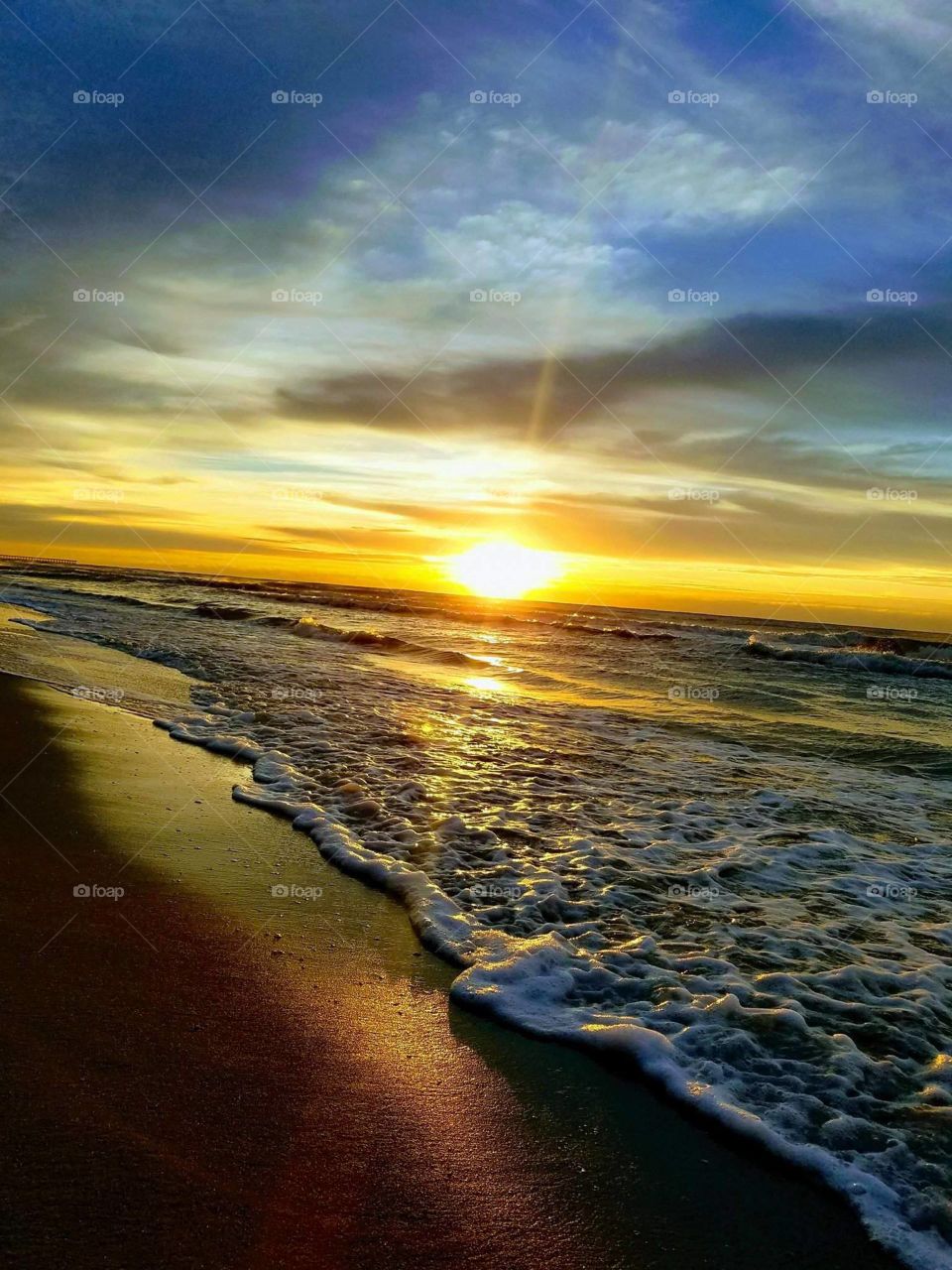 South Carolina  sunset
