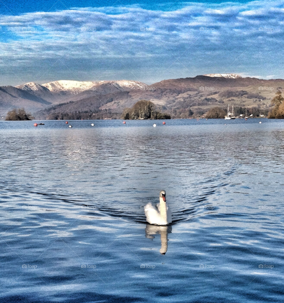 windermere in winter snow winter england by pandahat