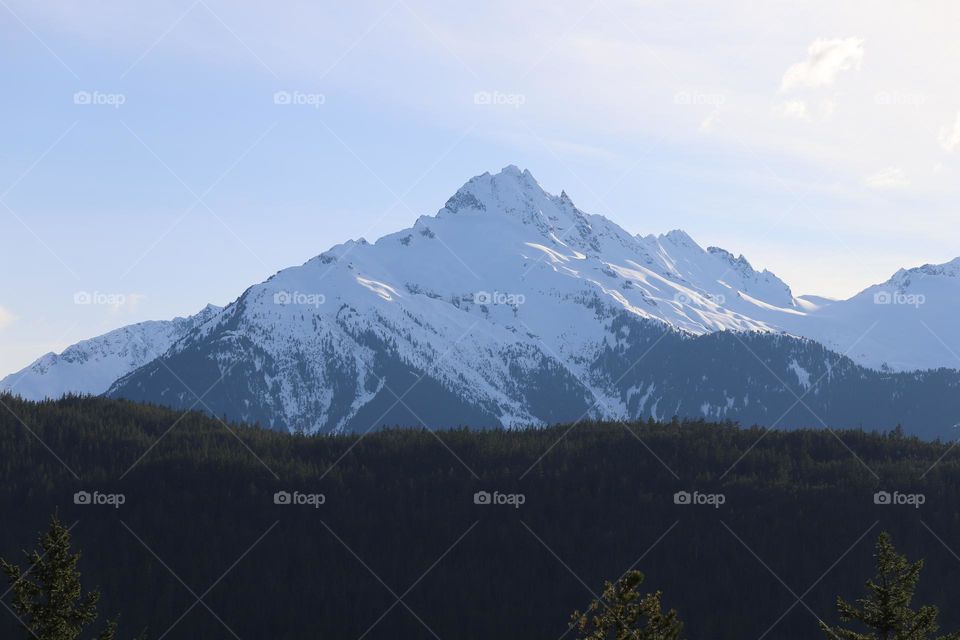 Snow caped mountain rising above the dense forest 