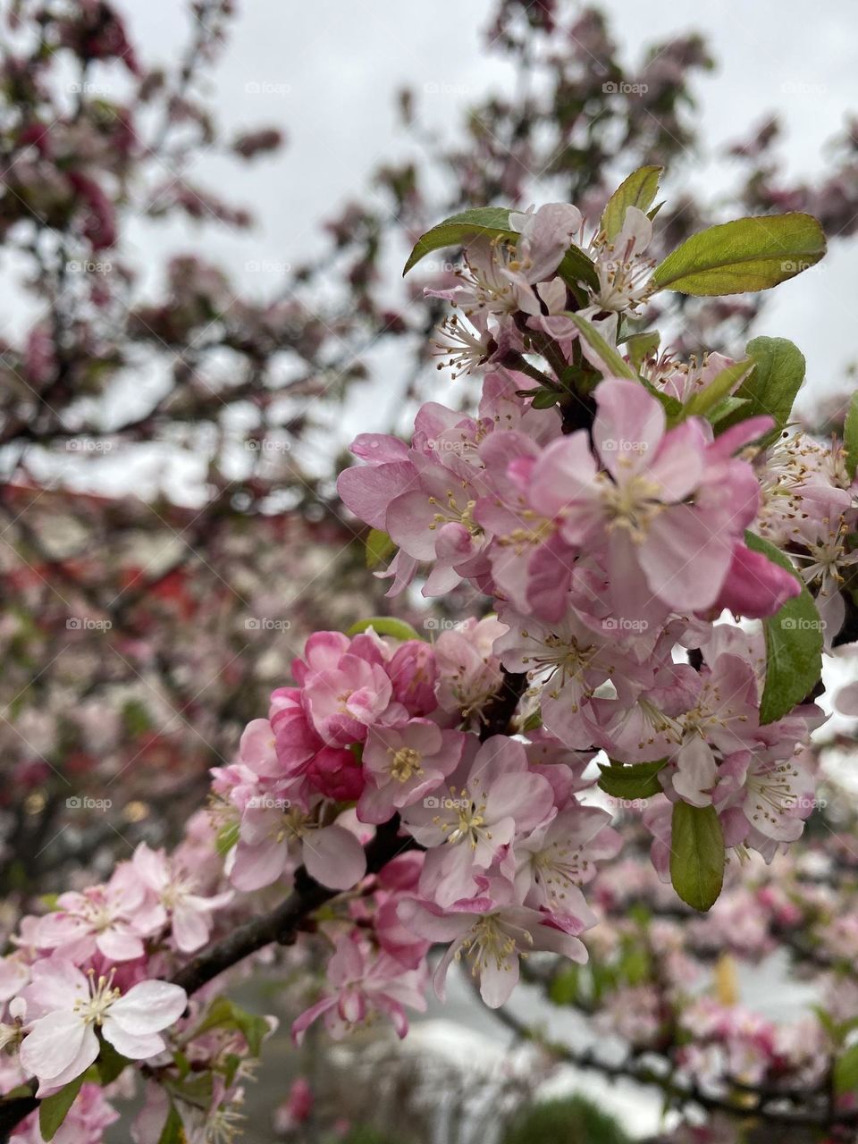 Spring is in the air