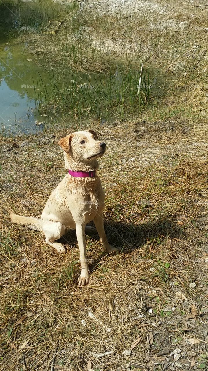 Concentration is key to getting the toy