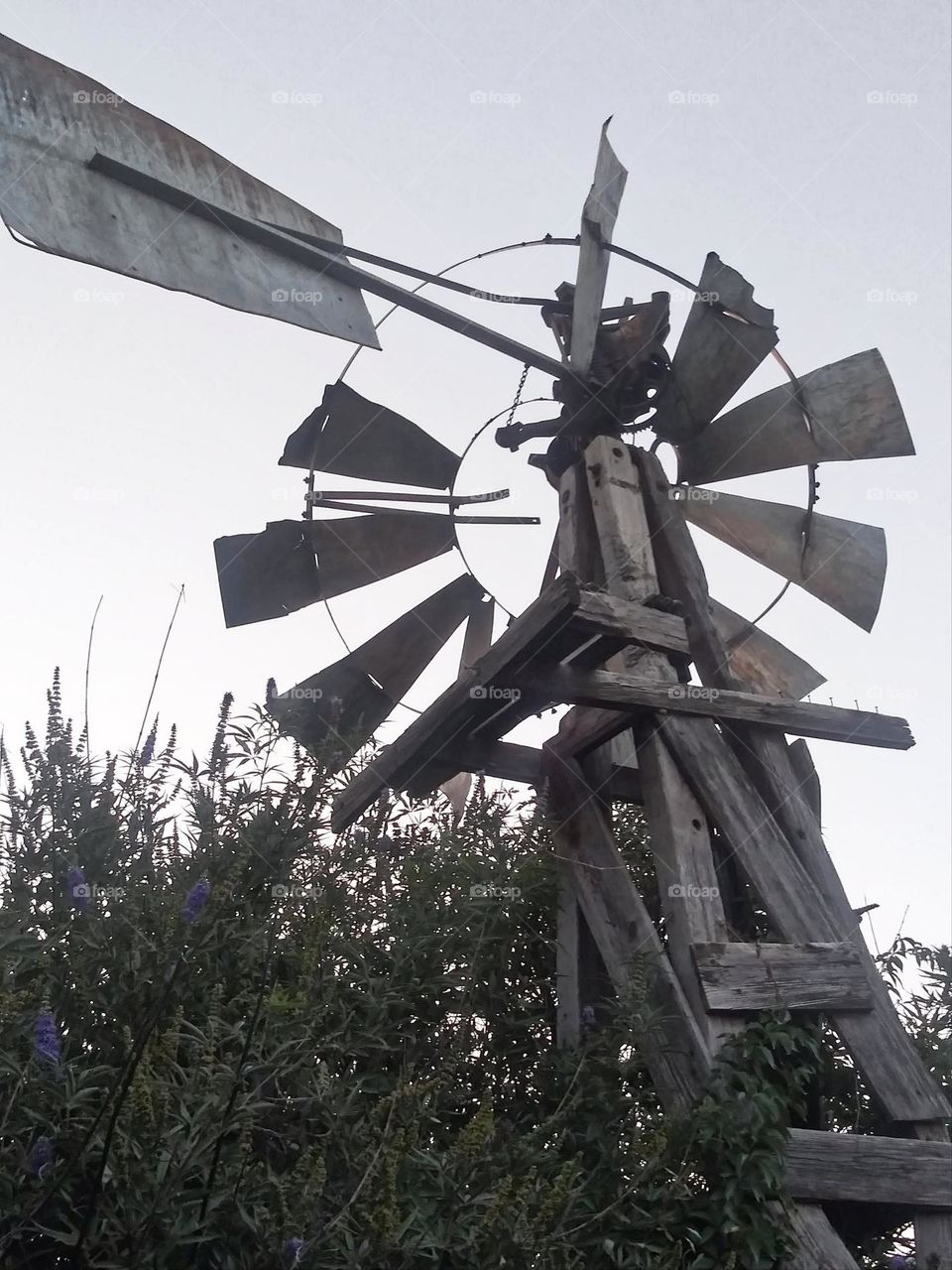 Windmill in Texas