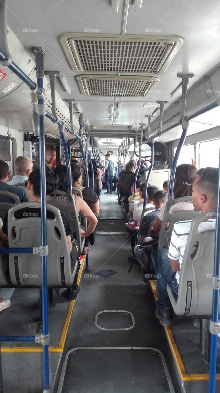 bus travel public people urbans