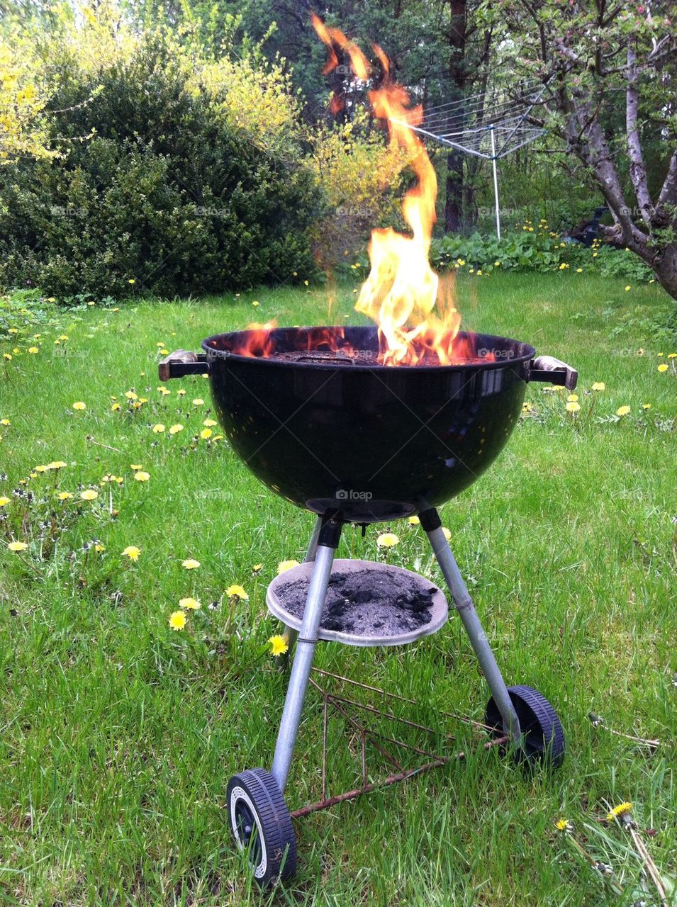 sweden cooking garden food by stenholm