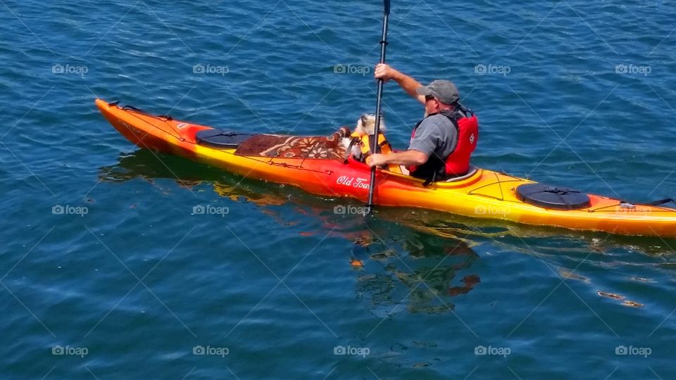 dogs and kayaking