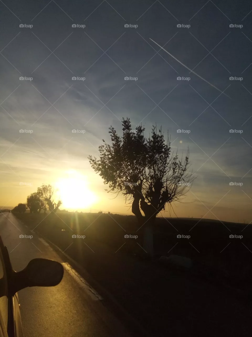 sunset