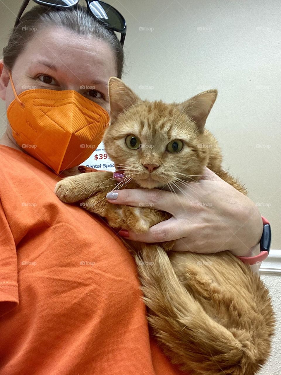 A person dressed in orange holding and orange tabby cat