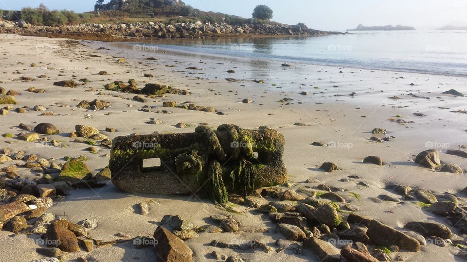 detritus on sunny shore of beach