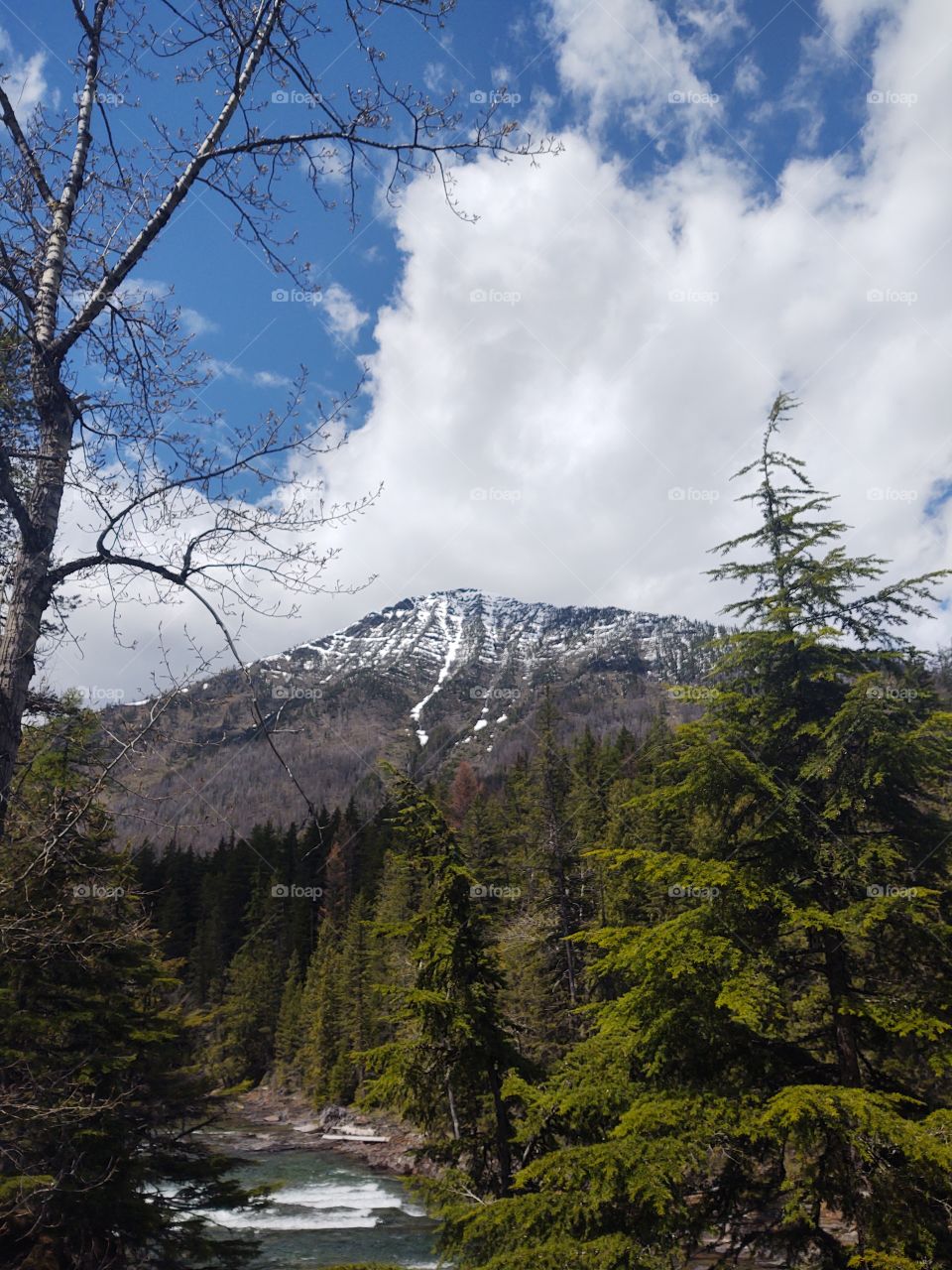 Glacier National Park