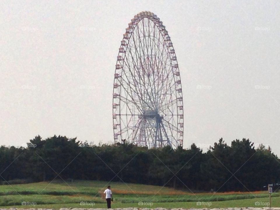 Ferris wheel 