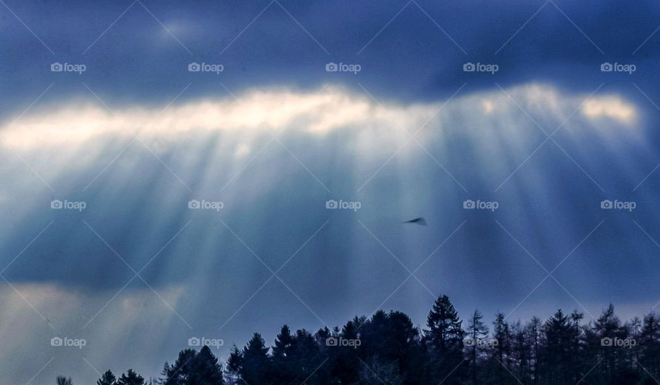 Beautiful rays of sunlight