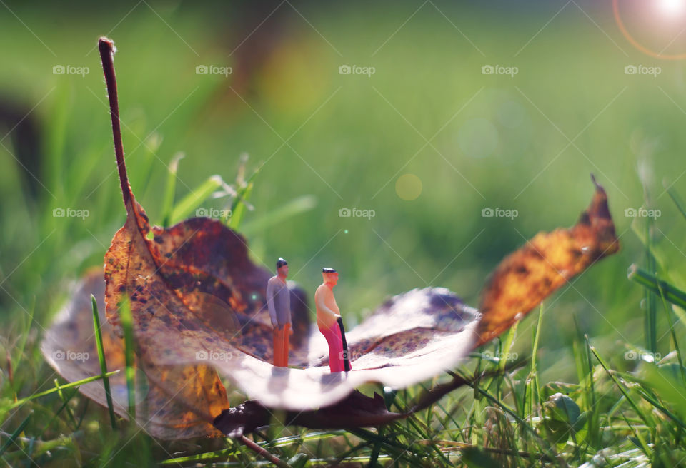 boat of autumn leaf