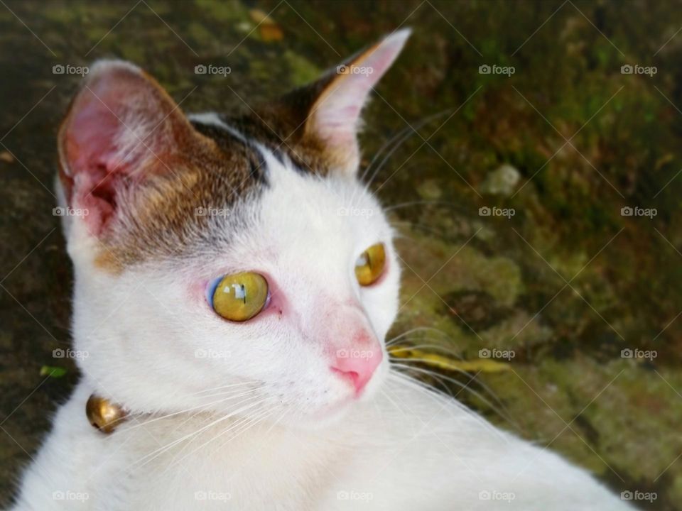 Relax and enjoying her morning view