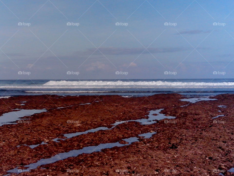 Scenics view of beach