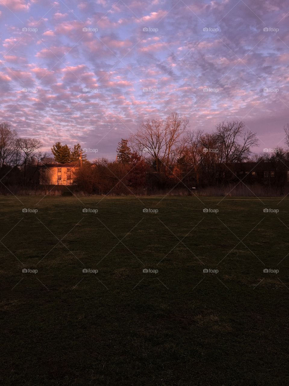 Pink clouds at sunset 