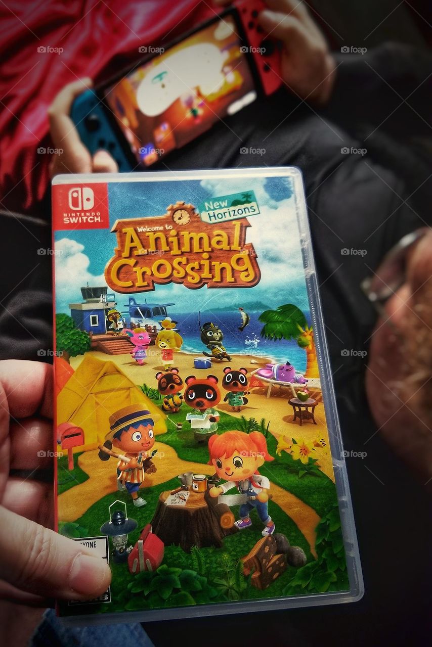 Animal Crossing for Switch