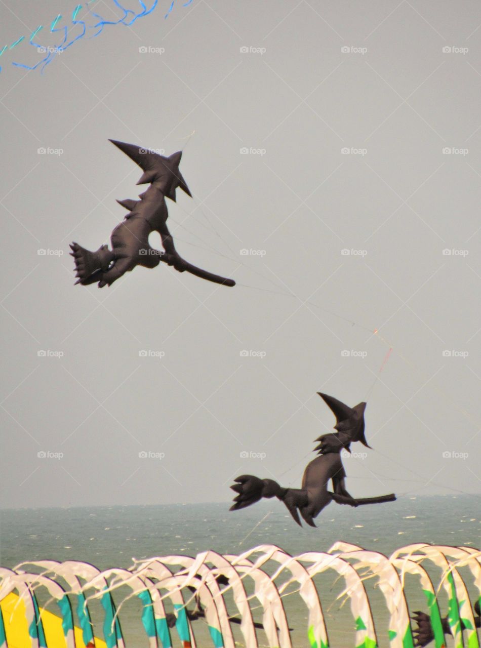 Berck kite competition